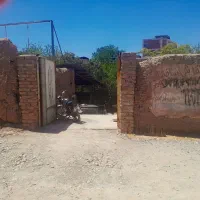 زمین-کلنگی