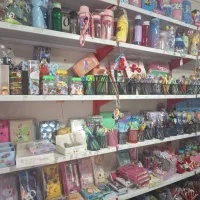 نیازمند نیروی کار خانم