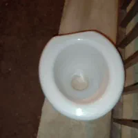 کاسه توالت فرنگی