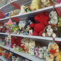 واگذاری فروشگاه لوازم تحریر با موقعیت عالی|فروشگاه و مغازه|کرمان, |دیوار