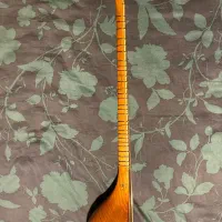 سه تار استاد ژاله