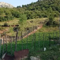 فروش زمین ۱۷۰ متر در منطقه توریستی دراسله سوادکوه