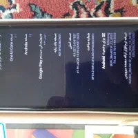 کارتن دار درحد