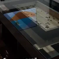 میز جلو مبلی بدون عسلی