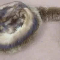 کلاه پشمی روسی زنانه اصلی