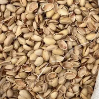 خرید وفروش پوست پسته مهربانی