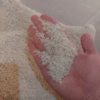 برنج طارم استخوانی فریدونکنار|خوردنی و آشامیدنی|تهران, اختیاریه|دیوار