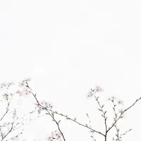 فضای آموزشی