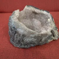 مجسمه جنگل فیل