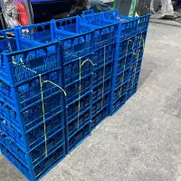 مازندران قایمشهر نیرو خانم یا اقا برای سبد سازی