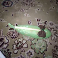 جامدادی بانمد