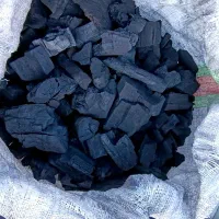 زغال کبابی|کافی‌شاپ و رستوران|شاندیز, |دیوار