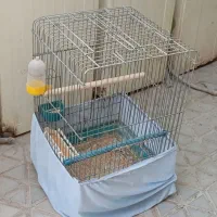قفس کاسکویی