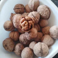 گردو درجه یک