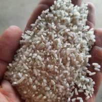 برنج لاشه طارم