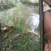 چاه کنی و بیل کاری