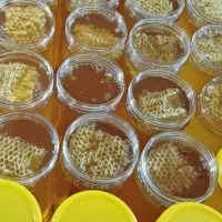 عسل پرتیکان|خوردنی و آشامیدنی|زنده رود, |دیوار