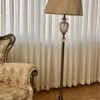 آباژور کنار سالنی