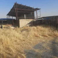 مجتمع دامداری و باغ ۳۰۰۰ متری|فروش دفتر صنعتی، کشاورزی، تجاری|اراک, |دیوار