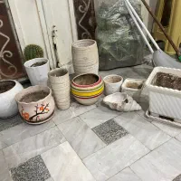 چند مدل گلدان|گل و گیاه طبیعی|قم, دروازه چوبی|دیوار