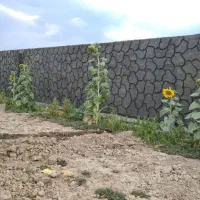 900-متر-4-دیواری