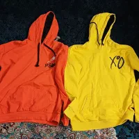 هودی در حد نو