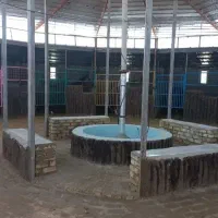 پانسیون و نگهداری اسب