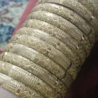 باالنگوی شماره 1تعویض میکنم نوبدون هیچ گونه شکستگی|جواهرات|فارسان, |دیوار