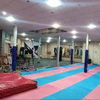 آموزش ورزش کاراته بانوان