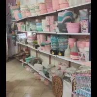 ارکوپال