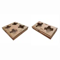 کارتن سازی دایکوپک