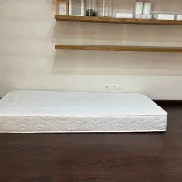 تشک نوجوان رویا