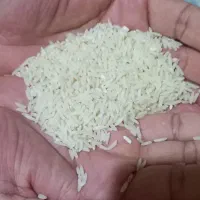برنج طارم کیلویی 340