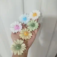 شمع های بابونه