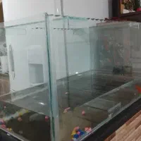 اکواریوم