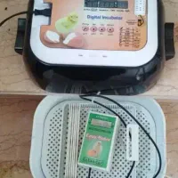 دستگاه جوجه کشی ایزی باتور 6 اسکندری