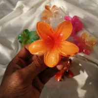 کلیپس خاص مدل سال