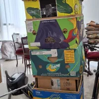 ۱۴ عدد کارتن موز