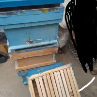 فروش ۱۰ عدد صندوق خالی زنبور عسل
