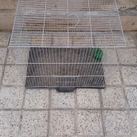 قفس پرنده