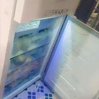 یخچال فریزر سالم|یخچال و فریزر|سرخنکلاته, |دیوار