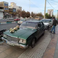 ماشینم گم شده