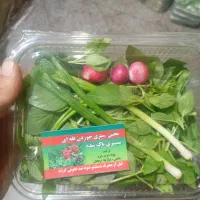 انواع سبزیجات ایرانی وفرنگی|خوردنی و آشامیدنی|تهران, سردارجنگل|دیوار