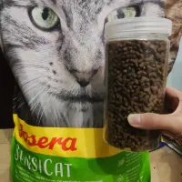 غذا خشک گربه جوسرا کیتن سنسی کت josera
