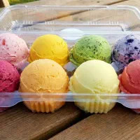 بستنی و آبمیوه زردکوهی (ارسال رایگان)