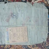 ویو پلاک قدیم|موتورسیکلت|سبزوار, کاشفی شمالی (دادگستری)|دیوار