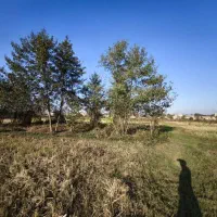 زمین۱۵۰۰متری در شهرستان فومن روستای نوگوراب|فروش زمین و ملک کلنگی|فومن, |دیوار