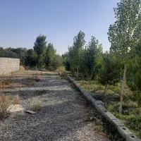 زمین سرسبز،چهاردیواری،چهارباغ کمربندی رامجین.|فروش زمین و ملک کلنگی|تهران, درختی|دیوار