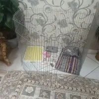 فنس. یاپارک بازی سگ|لوازم جانبی حیوانات|مشهد, ایثار|دیوار