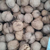 گردو و مغزگردو